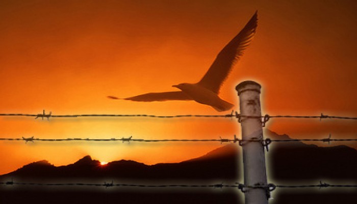 حَدِيثُ الصَّامِِتين