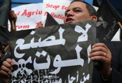 10 مليارات جنيه خسائر رأس البر في 5 أشهر بسبب "أجريوم"!!