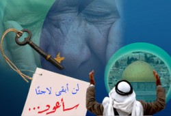 فلسطين السليبة.. ثوابت ومرجعيات (1- 2)