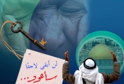 فلسطين السليبة.. ثوابت ومرجعيات (1- 2)