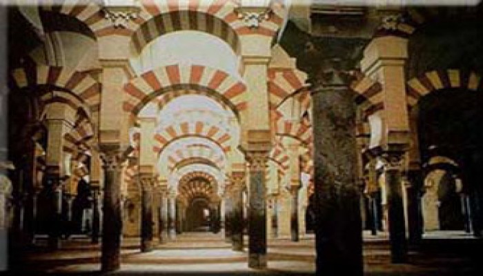 إخراج جزء من الزكاة لبناء المساجد