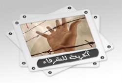 الإفراج عن 6 من معتقلي الإخوان المسلمين بالجيزة