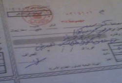 أول حكم قضائي بوقف انتخابات المحليات بدمياط