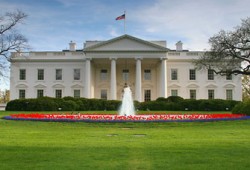 مرشحو الرئاسة الأمريكية.. امتداد بوش