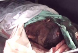 الأردن.. مسيرة جماهيرية للنقابات المهنية تنديدًا بالجرائم الصهيونية
