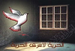 محكمة الجنايات تؤيد إخلاء سبيل 14 من إخوان المنوفية