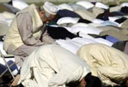 المسلمون الأمريكيون أكثر انخراطًا في المجتمع عمَّا سبق