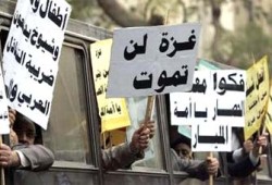خبّريني يا غزة