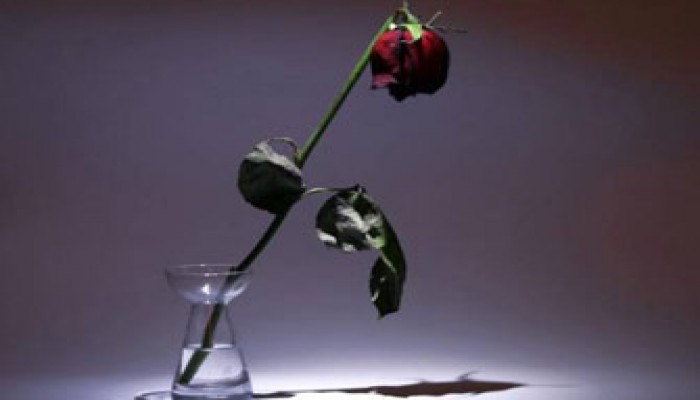 الرقص على السلم