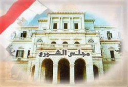 مرشح شورى سابق يطالب بتعويضه 100 مليون جنيه