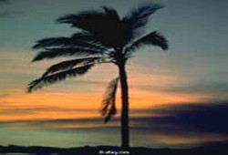 متى يشرق الصباح؟