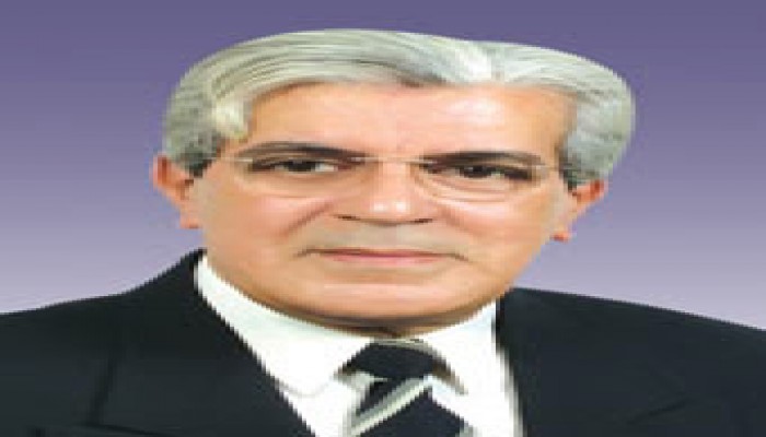 مَن ينقذ مصر؟ (الحلقة 1-4)