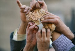 ثورات الجوع.. في التاريخ المصري