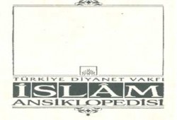 الموسوعة الإسلامية.. أكبر عمل ثقافي في تركيا