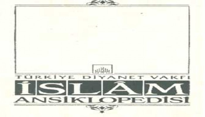 الموسوعة الإسلامية.. أكبر عمل ثقافي في تركيا