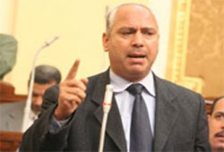 العدلي يحذر الحكومة من التقاعس في مواجهة أنفلونزا الخيول