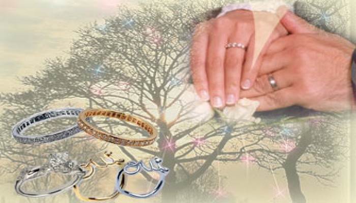 دليل الحياة الزوجية الناجحة في حوار مع د. سهير عبد العزيز