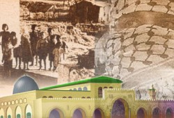 ليست نكبة واحدة.. بل نكبات متعاقبة