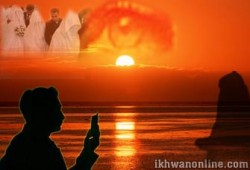 حكم تركة الزوجة المتوفاة