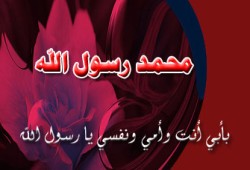 د. يسري هانئ يكتب: جوانب العظمة في حياة الرسول القدوة