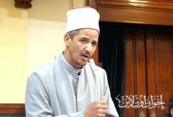الشيخ محمد عبد الرحمن يتهم الحكومة بالمسئولية عن تراجع إنتاج القطن