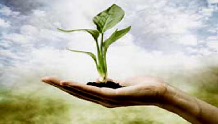 لمسات حانية