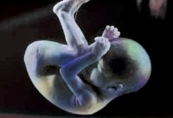 الأدعية أثناء الحمل