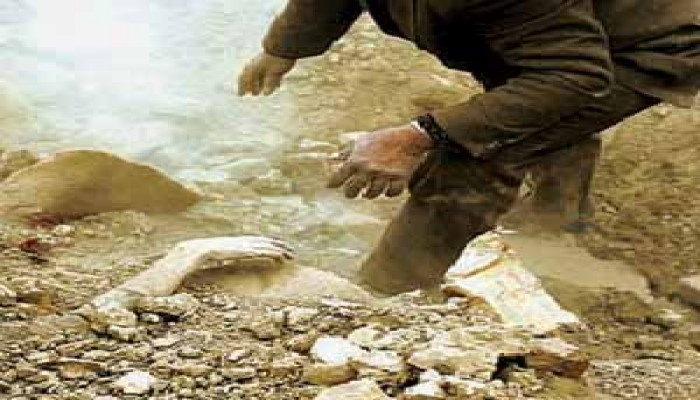 الرحلة المباركة