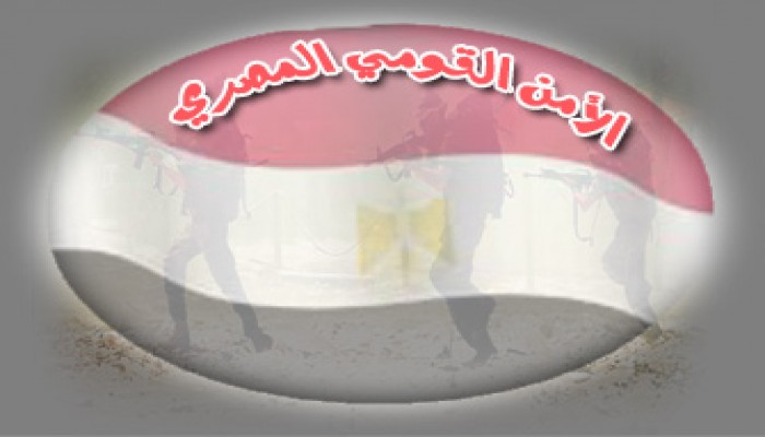 خبراء عسكريون وسياسيون: أمن مصر في خطر ولا بد من وقفة حاسمة