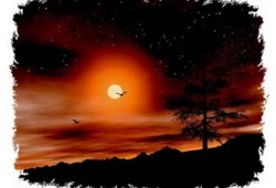 الشباب وتفسير الأحلام.. استشراف المستقبل أم هروب للتفاؤل!