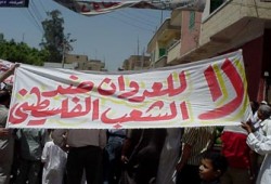 مصر تنتفض تضامنًا مع فلسطين