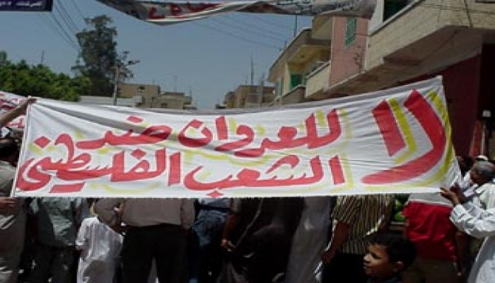 مصر تنتفض تضامنًا مع فلسطين