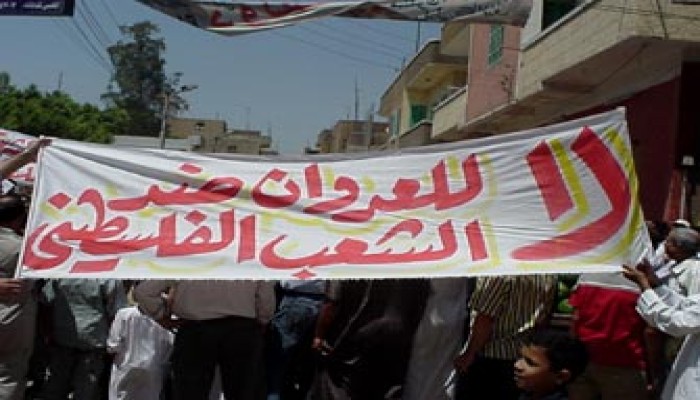 مصر تنتفض تضامنًا مع فلسطين