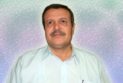 د. سناء أبو زيد يكتب: شرعية الإخوان وأشياء أخرى