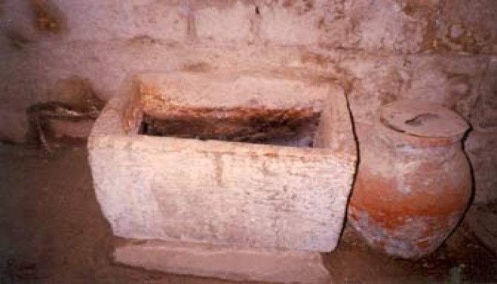 منشآت رعاية الحيوان.. شواهد على عظمة الحضارة الإسلامية