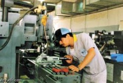 مشروعات شبابية ناجحة قهرت البطالة وتحتاج لدعم الدولة