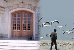 أزواج اليوم.. لماذا يهجرون عش الزوجية؟