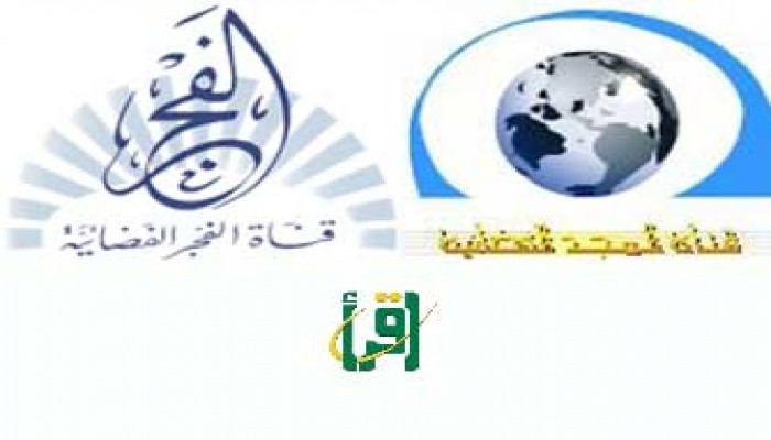 د. محيي الدين عبد الحليم يفتح ملف الفضائيات العربية