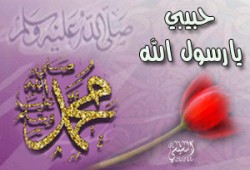 إني أحبك يا رسول الله