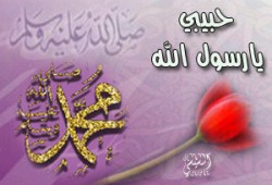 المولد النبوي الشريف 1427هـ