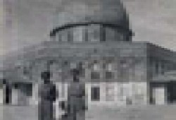 حسن الجمل.. كان مؤسسة خيرية تمشي على الأرض