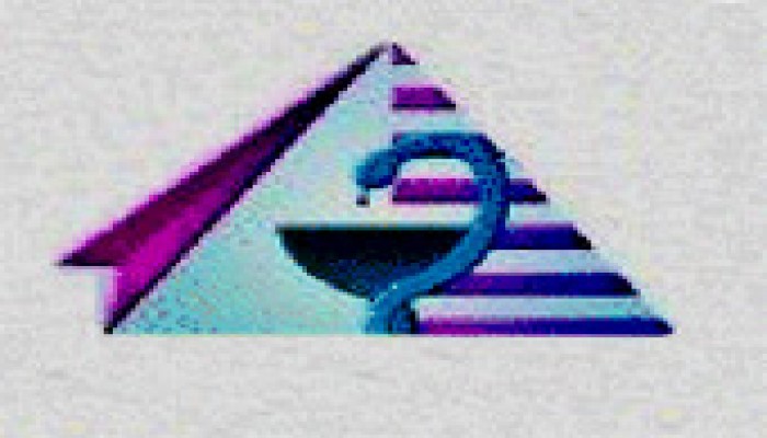 نقابة الصيادلة تكرم القضاء المصري ونواب الإخوان