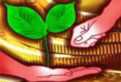 إعطاء زكاة المال للأخت