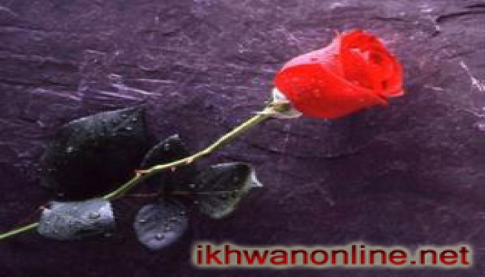 بلسم الحياة الزوجية