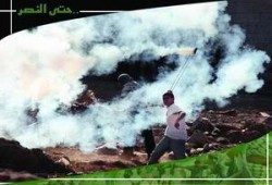 (كربلاء فلسطين)