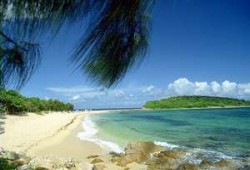 الاكتئاب.. رؤية علاجية