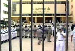التعذيب في مصر.. جريمة منظمة!
