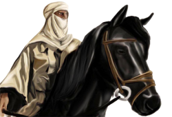 أبو بكر الصديق