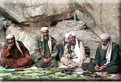 أحد عناصر القاعدة: "بن لادن" مازال حيًّا