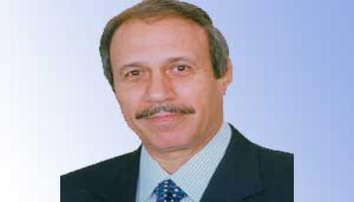 مصر السياسة الداخلية
